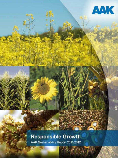 Responsible Growth - AAK