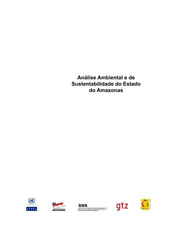 Análise Ambiental e de Sustentabilidade do Estado do ... - Cepal