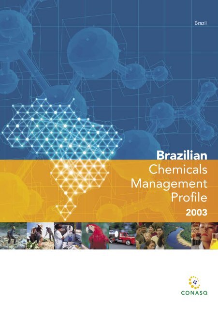 Brazilian Chemicals Management Profile 2003 - RAP-AL