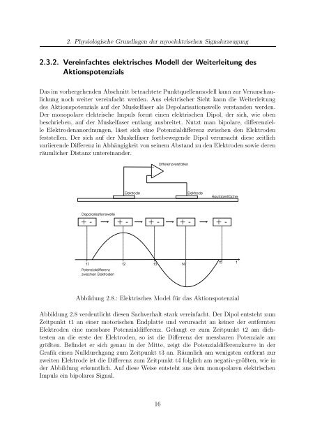 Messung und Analyse myoelektrischer Signale - Communications ...