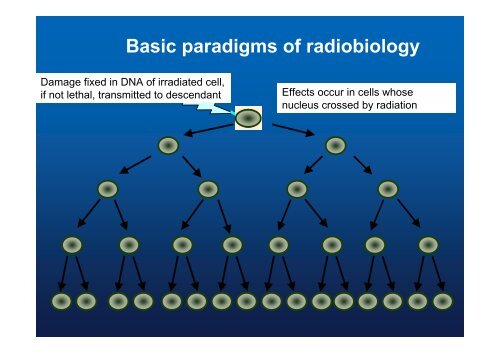 Radiation Protection Radiation Protection