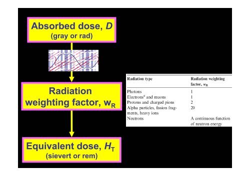 Radiation Protection Radiation Protection