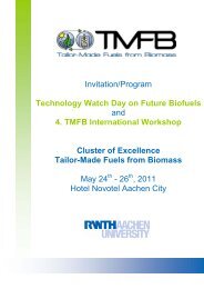 4. TMFB International Workshop Cluster of Excellence Tailor-Made ...
