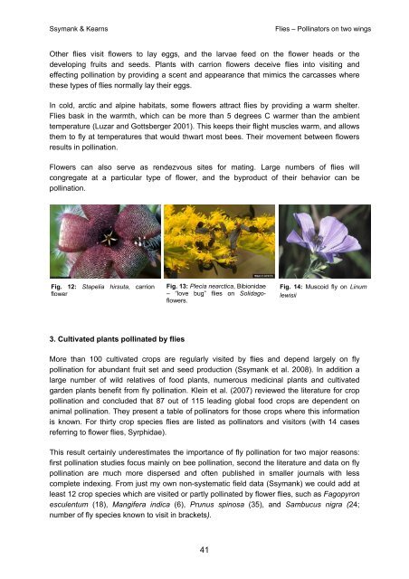 Caring for Pollinators - Bundesamt für Naturschutz