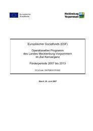 Operationelles Programm des Landes Mecklenburg ... - Europa-MV