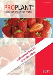 Erdbeeren - Proplant Kft.