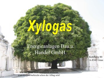 Xylogas Energieanlagenbau u. Handel GmbH