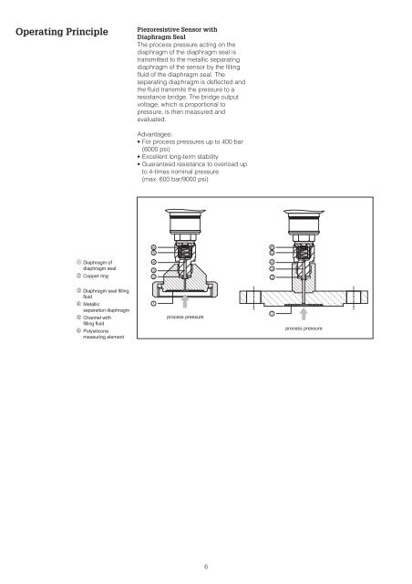 Pressure Transmitter cerabar M PMP 46 cerabar M PMP 48