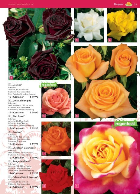auch Rosen haben Freunde - Blumenwelt Hödnerhof