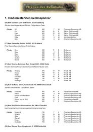 1. Hindernisfahrten Sechsspänner - Titanen der Rennbahn