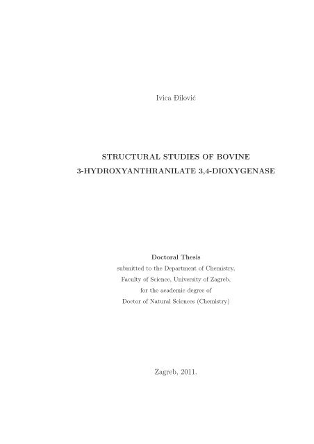 Ivica Đilović STRUCTURAL STUDIES OF BOVINE 3 ...