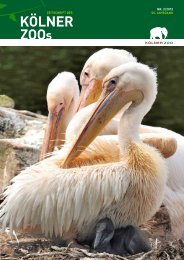 Nr. 2/2012, 55. Jahrgang (PDF) - Kölner Zoo