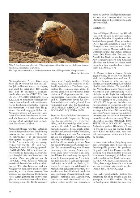 Nr. 2/2012, 55. Jahrgang (PDF) - Kölner Zoo