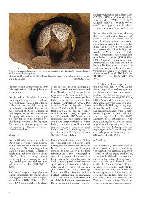 Nr. 2/2012, 55. Jahrgang (PDF) - Kölner Zoo