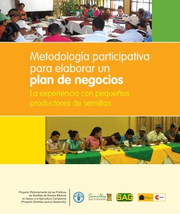 III. Módulo: El plan de negocios