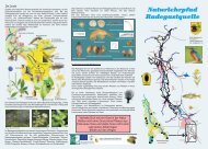 Naturlehrpfad Radegastquelle