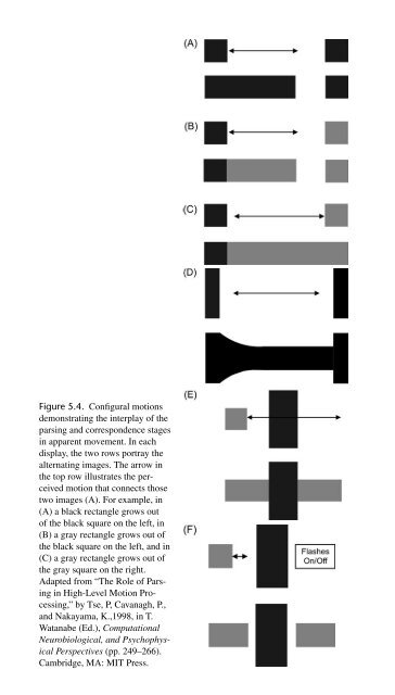 Perceptual Coherence : Hearing and Seeing