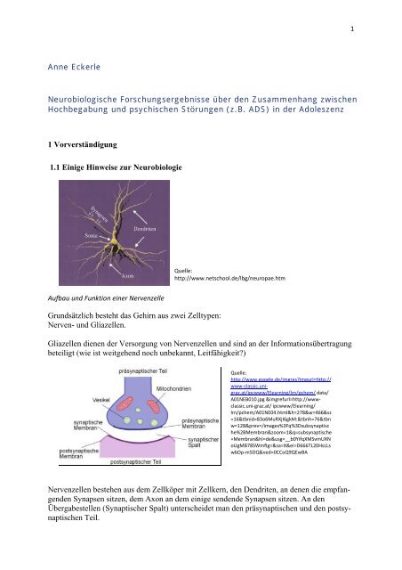 Anne Eckerle Neurobiologische Forschungsergebnisse über den ...