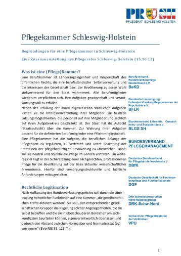 Argumentationspapier Pflegekammer in Schleswig-Holstein