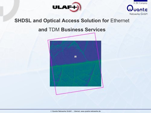 SHDSL and Optical Access Solution for - 3M Services GmbH