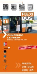 08221/2000-100 - Flexibus