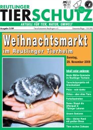 im Reutlinger Tierheim - Tierschutzverein Reutlingen eV