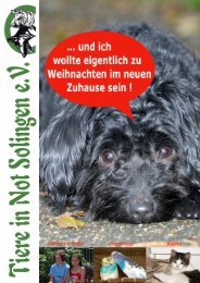Weihnachtsmarkt Aachen 2020 Offnungszeiten Tipps Und Bilder Travel On Toast Weihnachtsmarkt Aachen Reise Geschenke Schonste Weihnachtsmarkte Deutschland