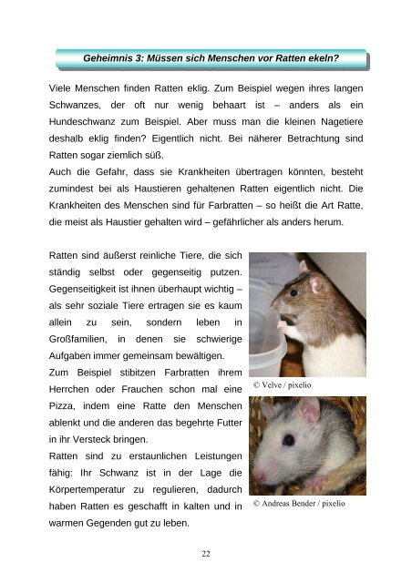 Ratten Angeln Eiswürfel - AG gegen Tierversuche