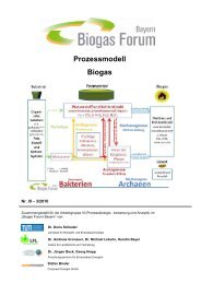 Prozessmodell Biogas - Biogas Forum Bayern