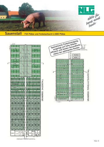 Sauenstall 745 Plätze und Ferkelaufzucht 2.880 Plätze