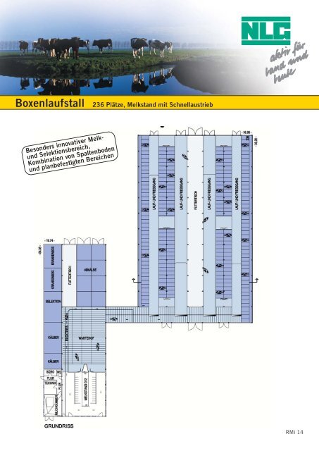 Boxenlaufstall 236 Plätze, Melkstand mit Schnellaustrieb