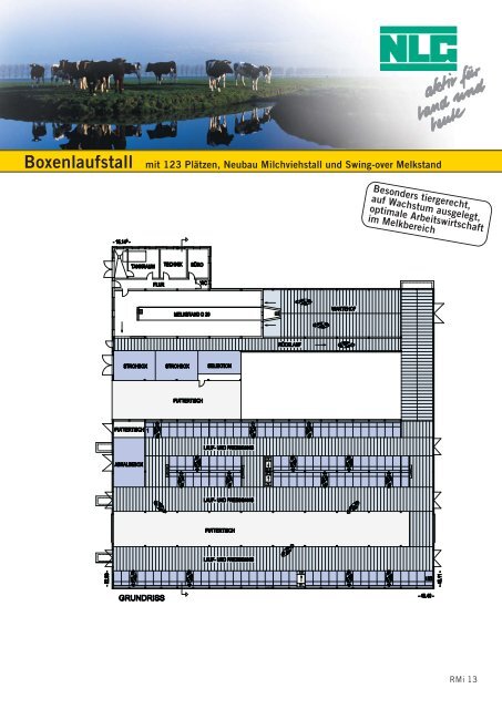 Boxenlaufstall mit 123 Plätzen, Neubau Milchviehstall und Swing ...