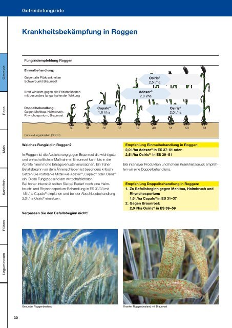 Als PDF herunterladen - BASF