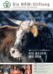 die neuen wilden - NRW-Stiftung