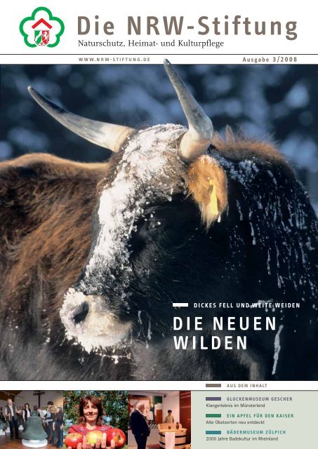 die neuen wilden - NRW-Stiftung