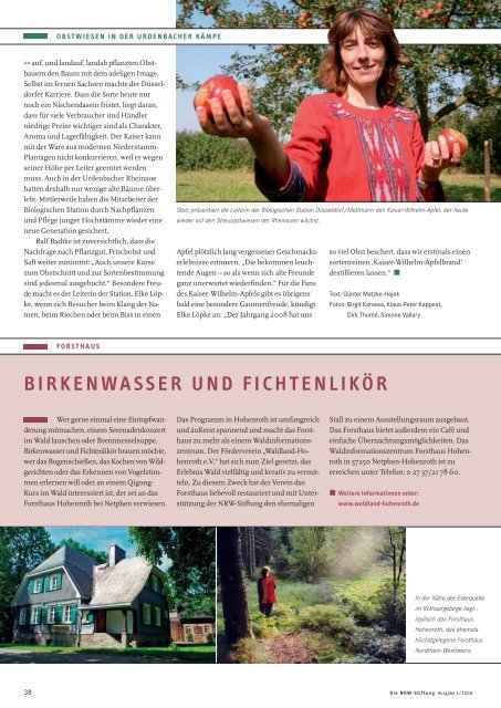 die neuen wilden - NRW-Stiftung