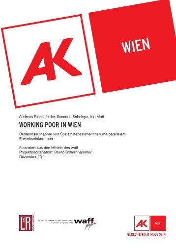 Working Poor in Wien