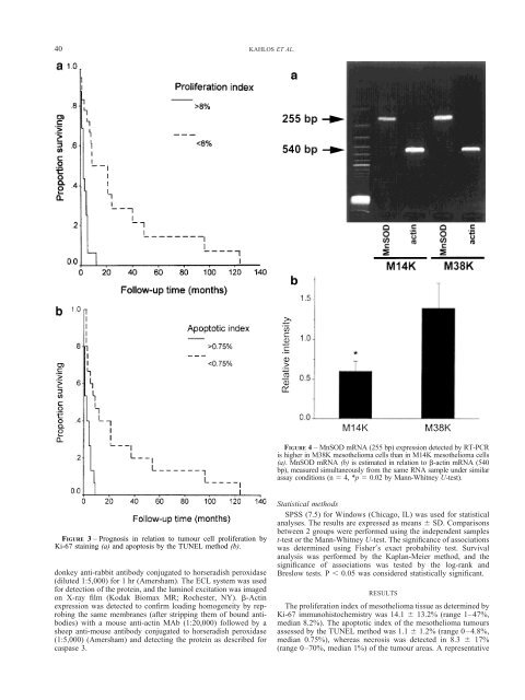 Proliferation, apoptosis, and manganese superoxide ... - Erbeofficinali