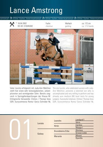 2008 - ESI VI. Sportpferde Katalog (.pdf, 4,3