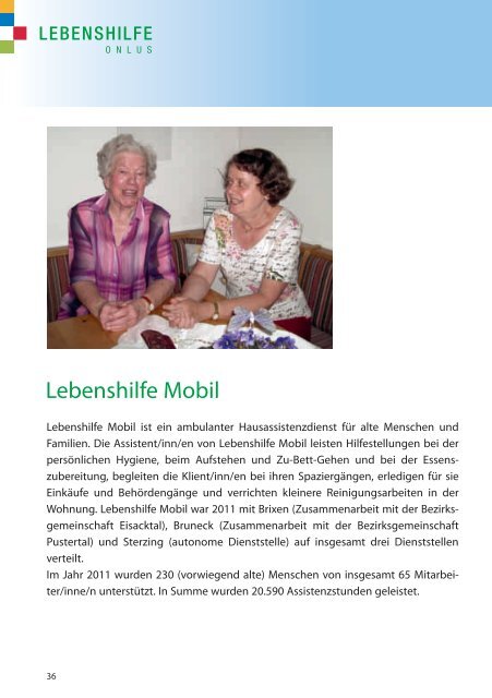 Tätigkeitsbericht 2011 deutsch.indd - Lebenshilfe