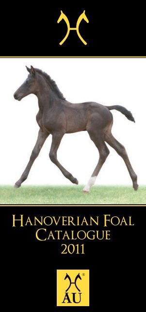 77283 Hanoverian Horse Foal Catalogue 2011.cdr