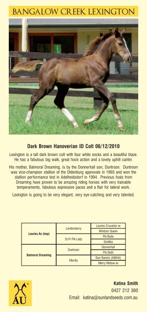 77283 Hanoverian Horse Foal Catalogue 2011.cdr