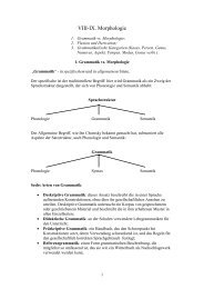 VIII-IX. Morphologie