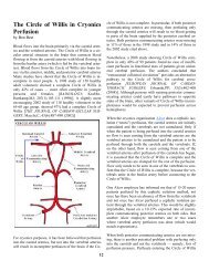 The Circle of Willis in Cryonics Perfusion