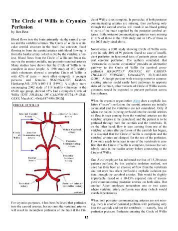 The Circle of Willis in Cryonics Perfusion