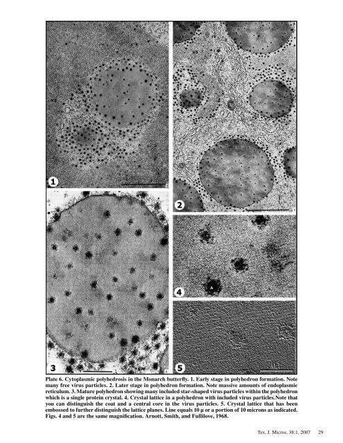 Texas Journal of Microscopy - Texas Society for Microscopy