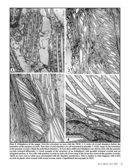 Texas Journal of Microscopy - Texas Society for Microscopy