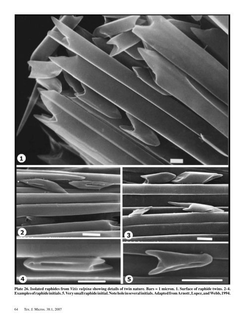 Texas Journal of Microscopy - Texas Society for Microscopy