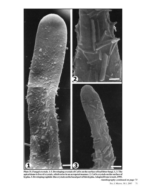 Texas Journal of Microscopy - Texas Society for Microscopy