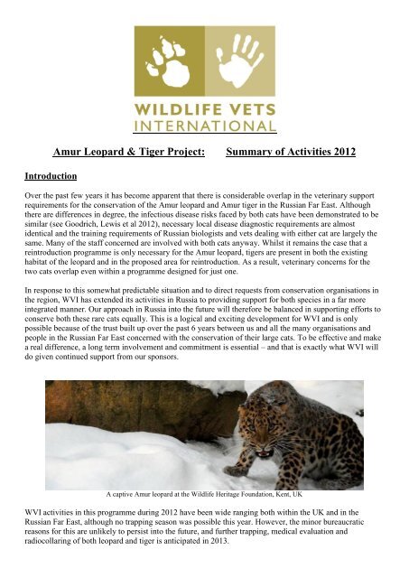Amur Leopard & Tiger Project - Wildlife Vets International